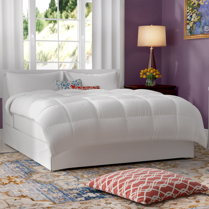 Alwyn Home All Season Duck Down Comforter & Reviews Wayfair